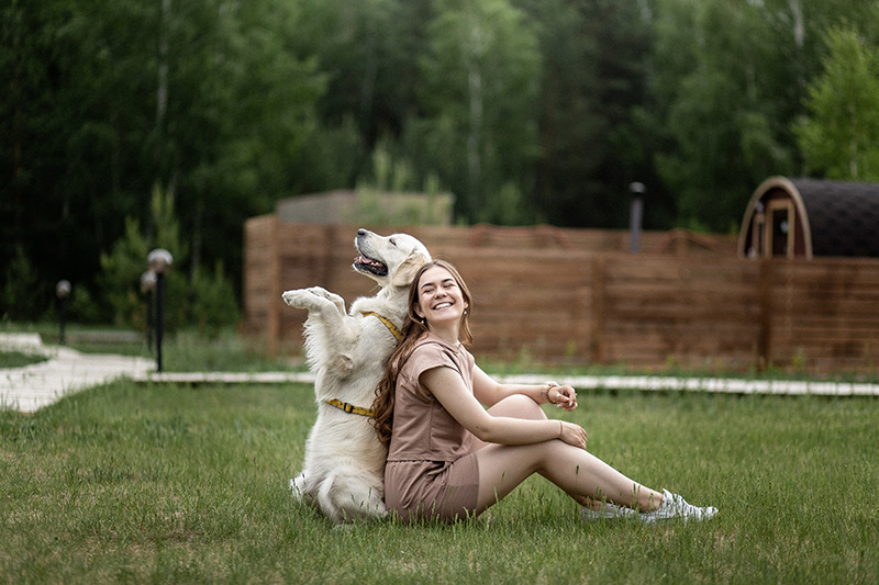 Площадка для собак