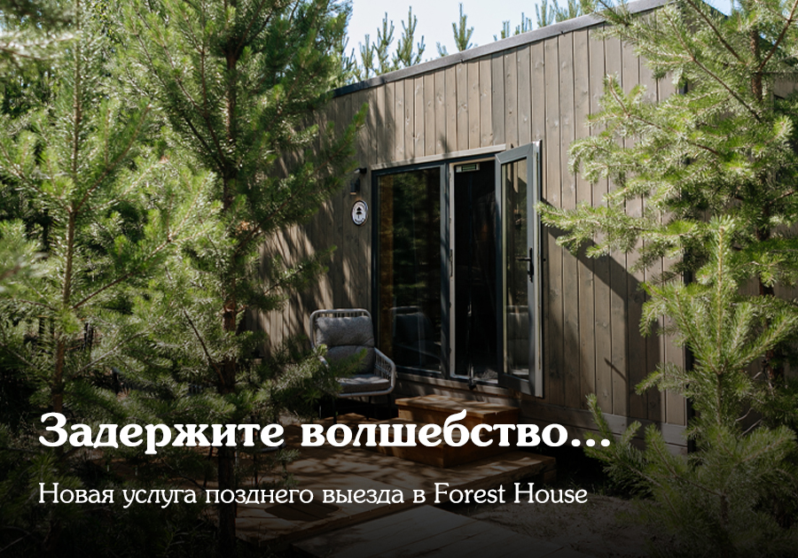 Поздний выезд в Forest House