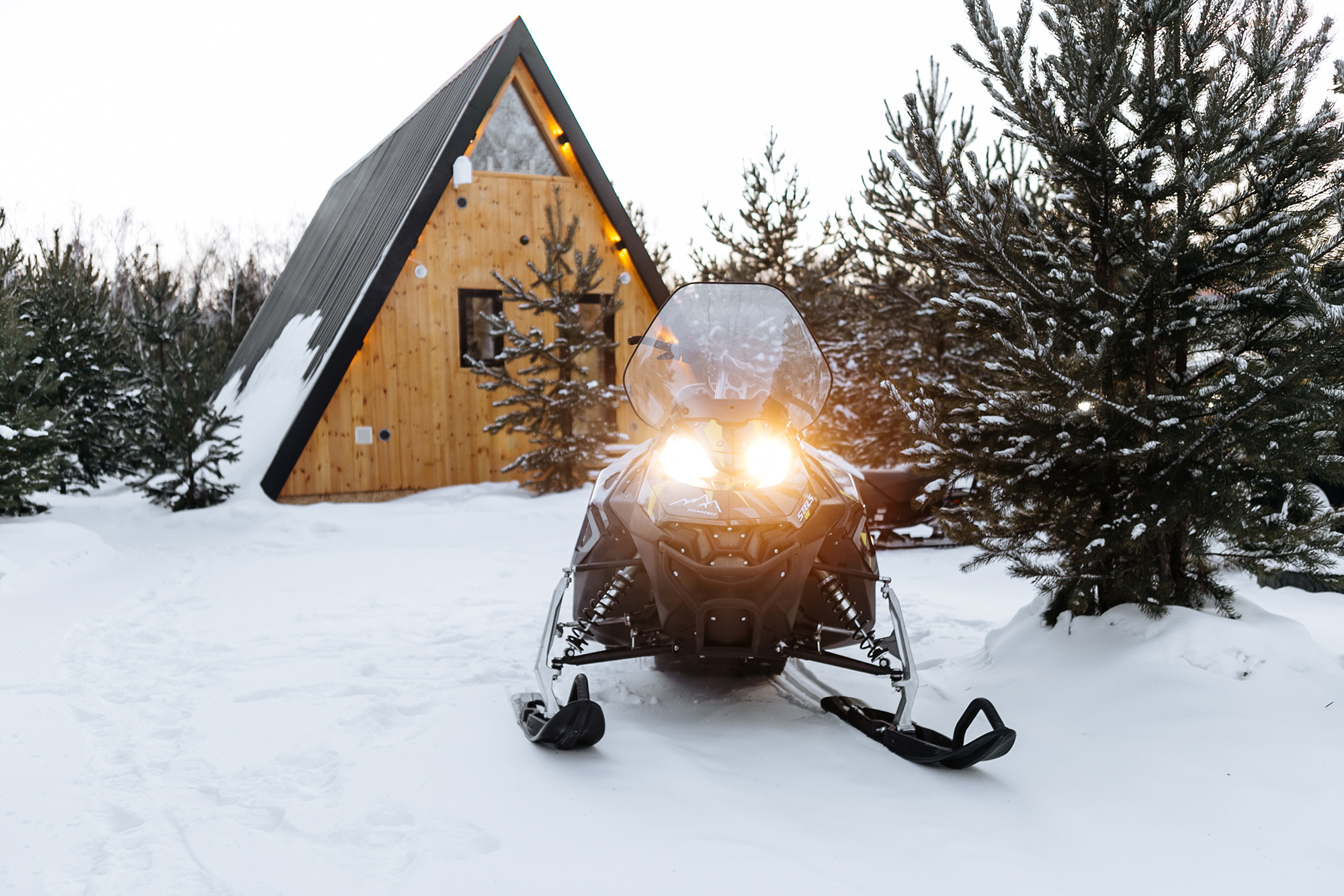 Маршрут «В резиденцию Снегурочки»